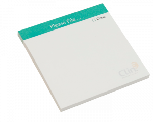 Please File CRA Audit Notes